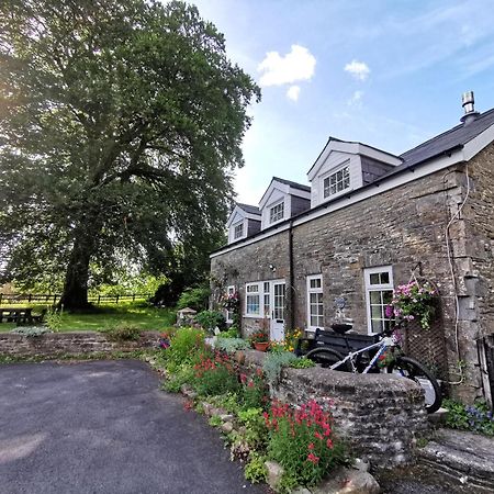 Swansea Valley Holiday Cottages Cilybebyll Екстериор снимка