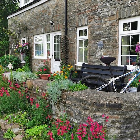 Swansea Valley Holiday Cottages Cilybebyll Екстериор снимка