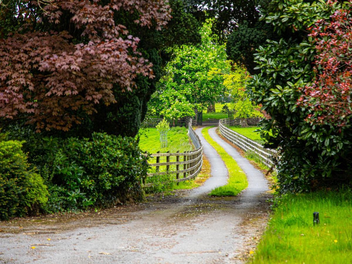 Swansea Valley Holiday Cottages Cilybebyll Екстериор снимка