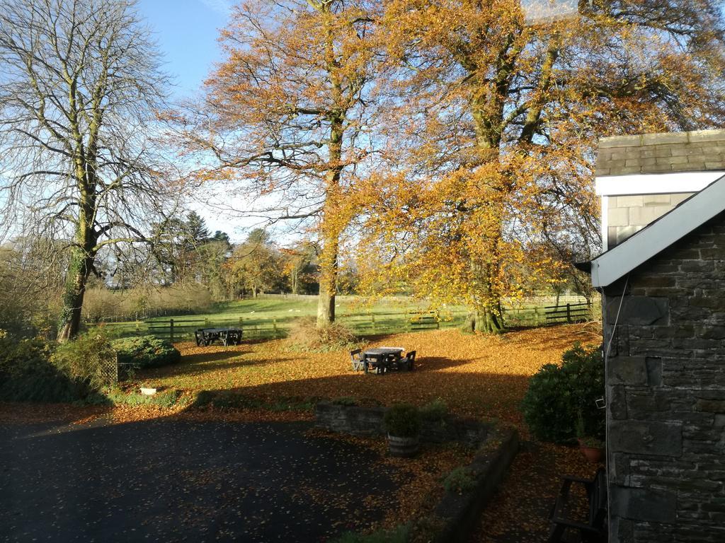Swansea Valley Holiday Cottages Cilybebyll Екстериор снимка